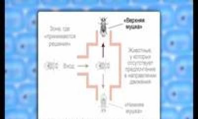 Движущие силы эволюции наследственная изменчивость, борьба за существование, естественный отбор